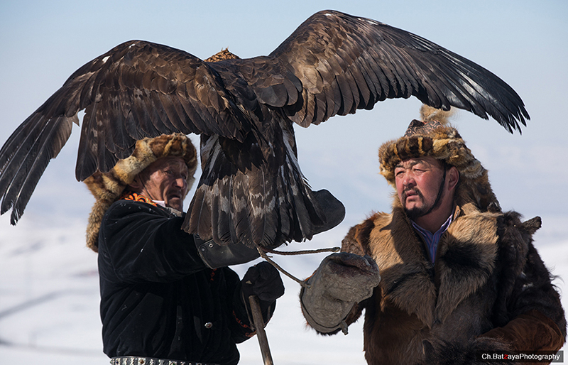 eagle hunting festival mongolia ulaanbaatar
